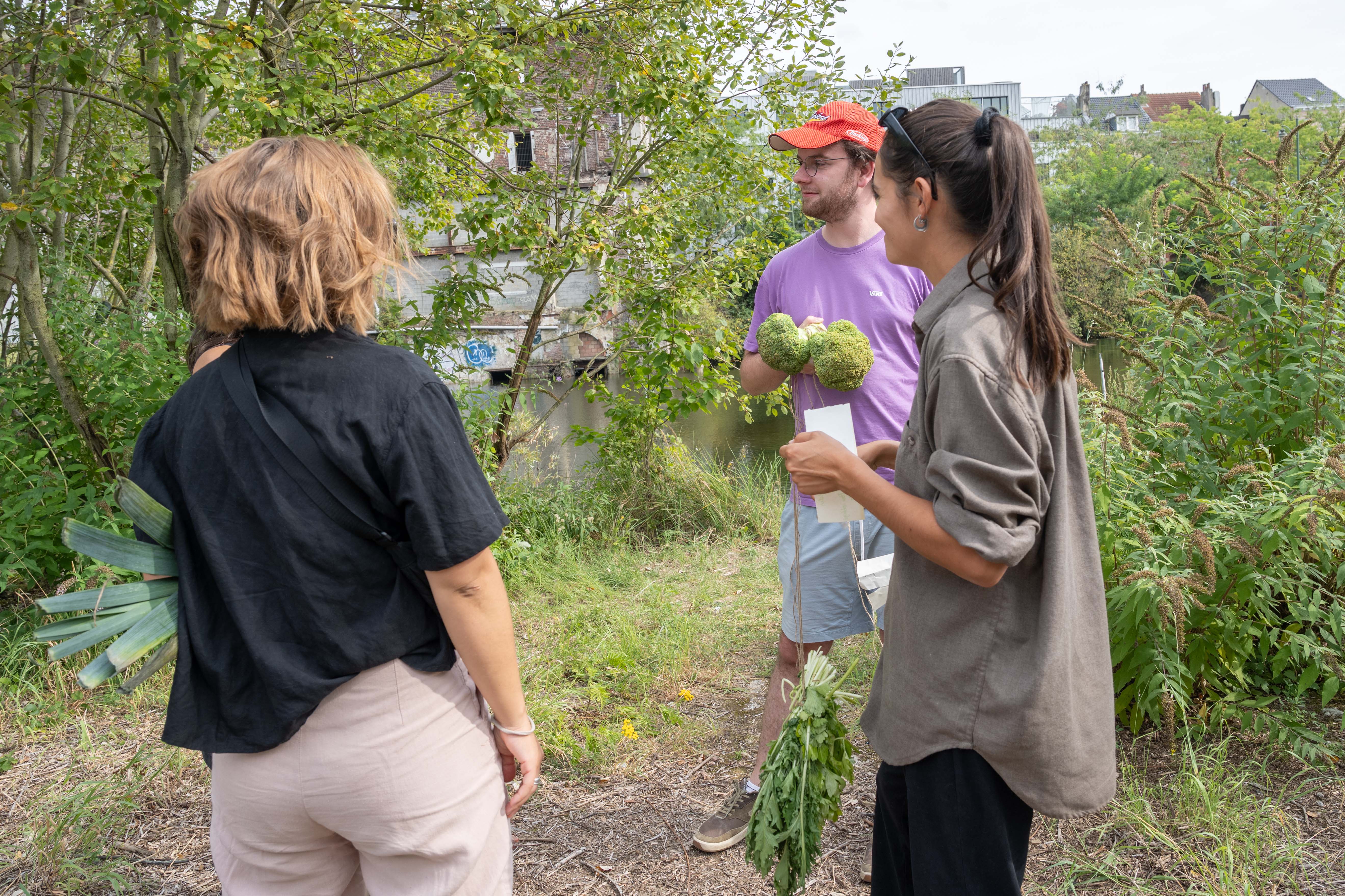 Cueillette de légumes dans le Marais (image: Bea Borgers)